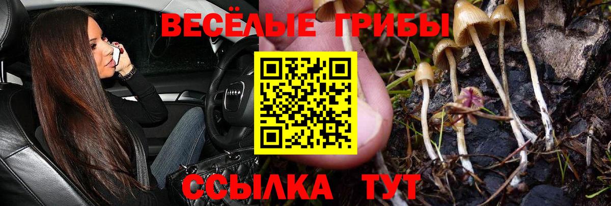 Галлюциногенные грибы ЛСД  Галлюциногенные грибы Psilocybe  Вход с VPN  Батайск 