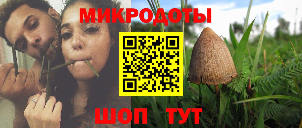 Галлюциногенные грибы прущие грибы Батайск
